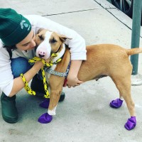 Molly Ephraim's pet- Lunch