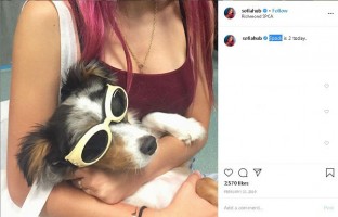 Sofia Hublitz pet- Spock