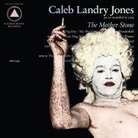 The Mother Stone cover