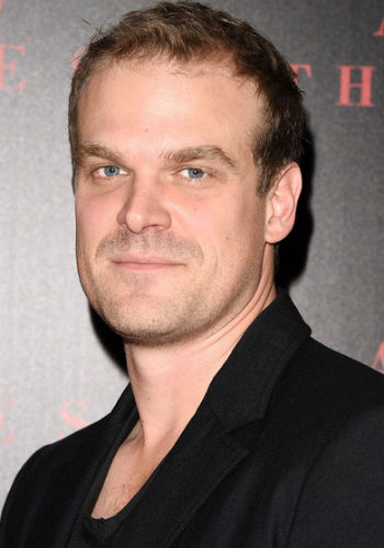 David Harbour Bio David Harbour