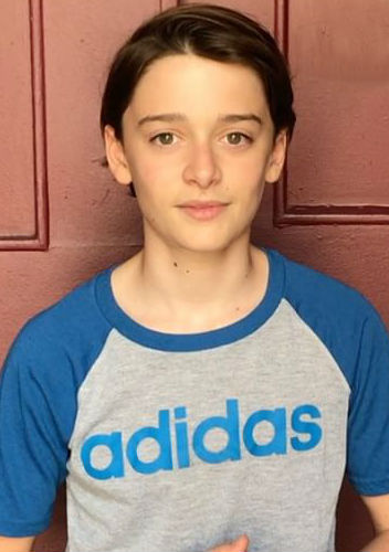 Noah Schnapp Bio Noah Schnapp